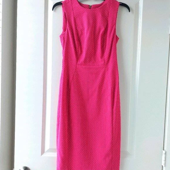 Calvin Klein Pink Polka Dot Princess Seam Dress - Picture 3 of 7